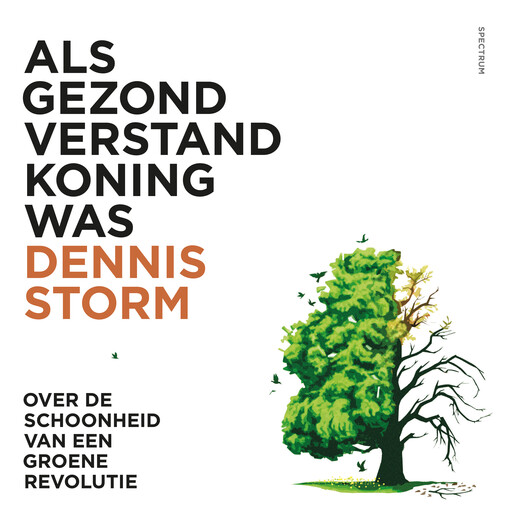 Als gezond verstand koning was, Dennis Storm