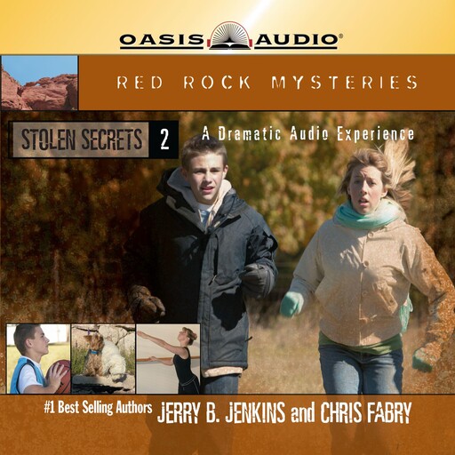 Stolen Secrets, Chris Fabry, Jerry B Jenkins