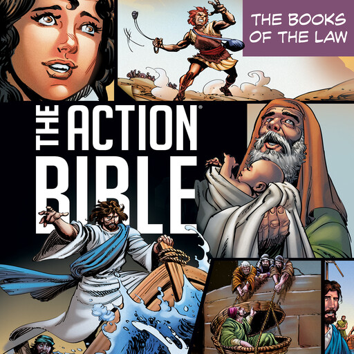 The Action Bible, David C Cook