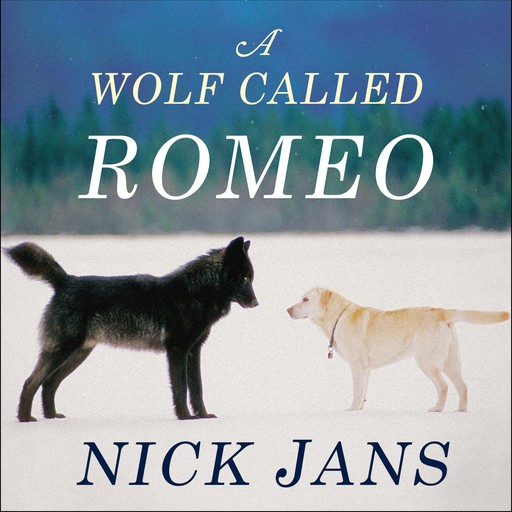 A Wolf Called Romeo, Nick Jans