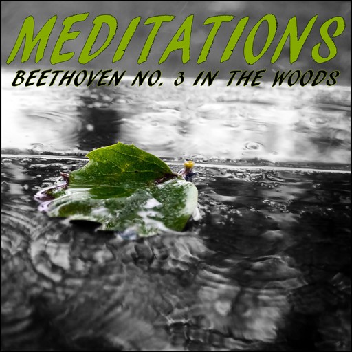 Meditations – Beethoven No. 3 in the Woods, LowApps Studios