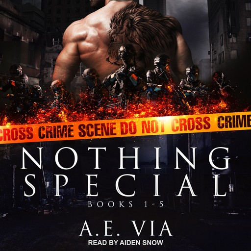 Nothing Special Series Box Set, A.E. Via