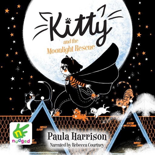 Kitty and the Moonlight Rescue, Paula Harrison