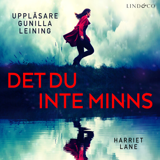 Det du inte minns, Harriet Lane