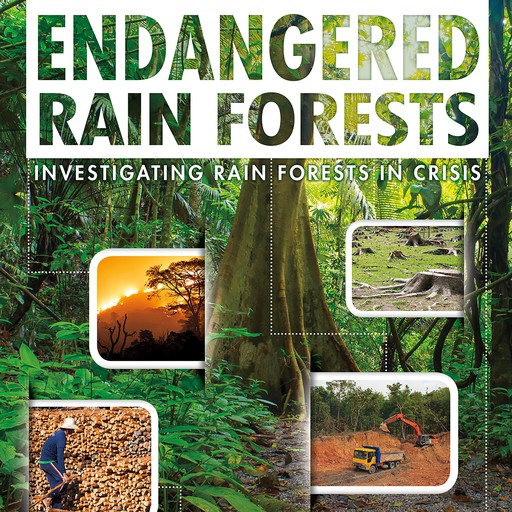 Endangered Rain Forests, Rani Iyer