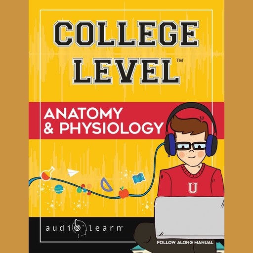 College Level Anatomy and Physiology, AudioLearn Content Team