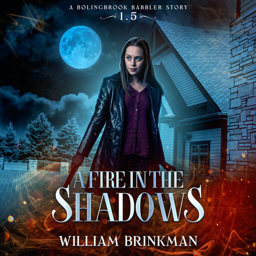 A Fire in the Shadows, William Brinkman
