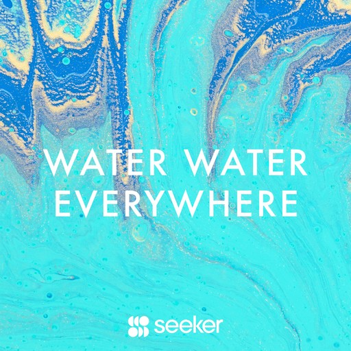 Water Water Everywhere, Seeker