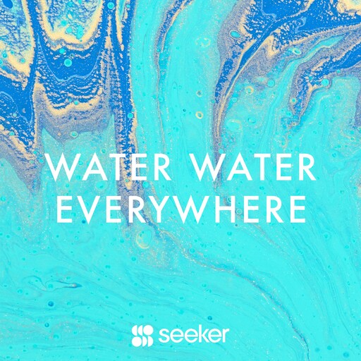 Water Water Everywhere, Seeker