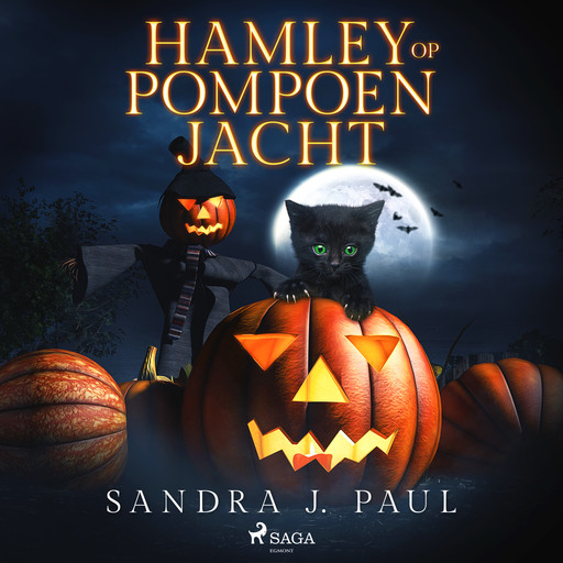 Hamley op pompoenjacht, Sandra J. Paul