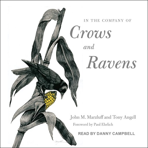 In the Company of Crows and Ravens, Tony Angell, John M. Marzluff