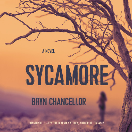 Sycamore, Bryn Chancellor