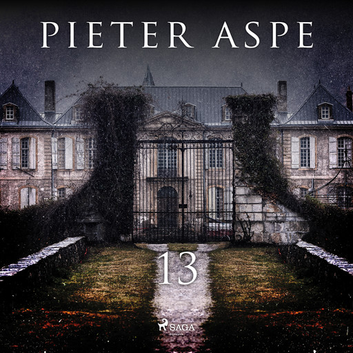 13, Pieter Aspe