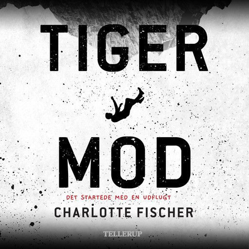 Snowboarder #1: Tigermod, Charlotte Fischer