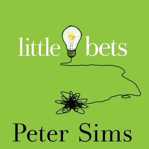 Little Bets, Peter Sims