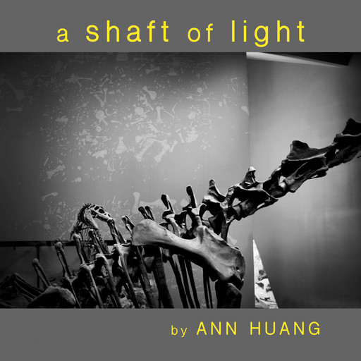 a Shaft of Light, Ann Huang