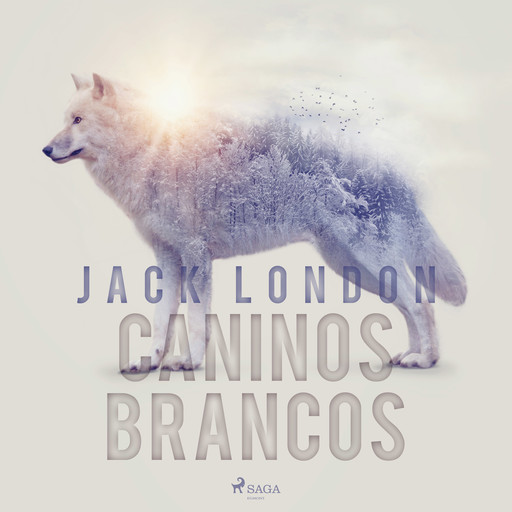 Caninos Brancos, Jack London