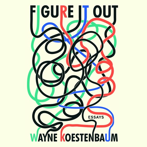 Figure it Out, Wayne Koestenbaum