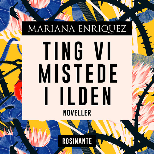 Ting vi mistede i ilden, Mariana Enriquez
