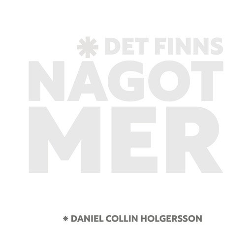 Det finns något mer, Daniel Collin Holgersson