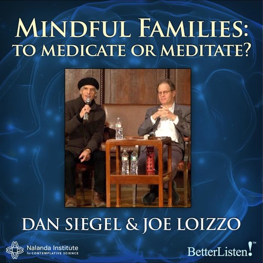 Mindful Families, Dan Siegel, Joe Loizzo