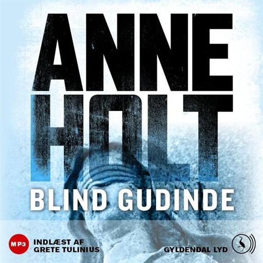 Blind gudinde, Anne Holt