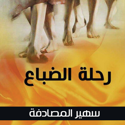 رحلة الضباع, سهير المصادفة
