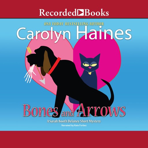 Bones and Arrows, Carolyn Haines