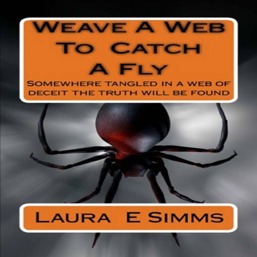 Weave A Web to Catch A Fly, Laura E Simms