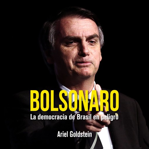 Bolsonaro, Ariel Goldstein