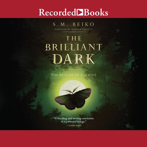 The Brilliant Dark, S.M. Beiko