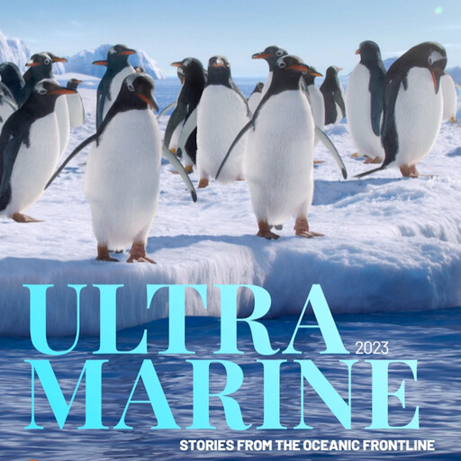 Ultramarine 2023, Drew Rooke, Ellen Phiddian, Jacinta Bowler, Imma Perfecto, Melissa Marquez, Evrim Yazgin, Petra Stock, Tyler Fisher, Peter Puskic, Matthew Ward Agius