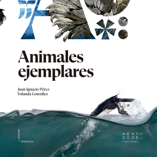 Animales ejemplares, Juan Perez, Yolanda Gonzalez