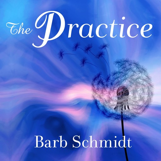 The Practice, Barb Schmidt