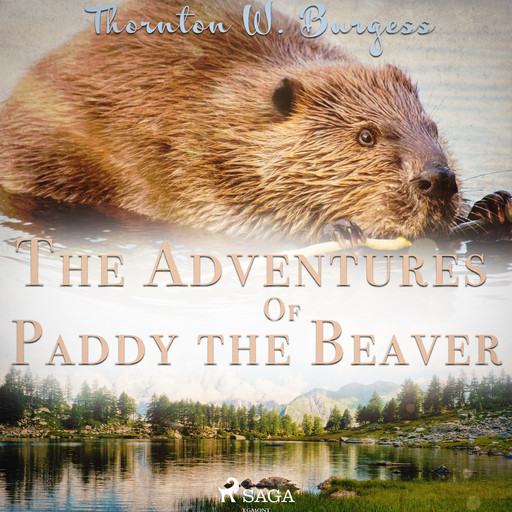 The Adventures of Paddy the Beaver, Thornton W. Burgess