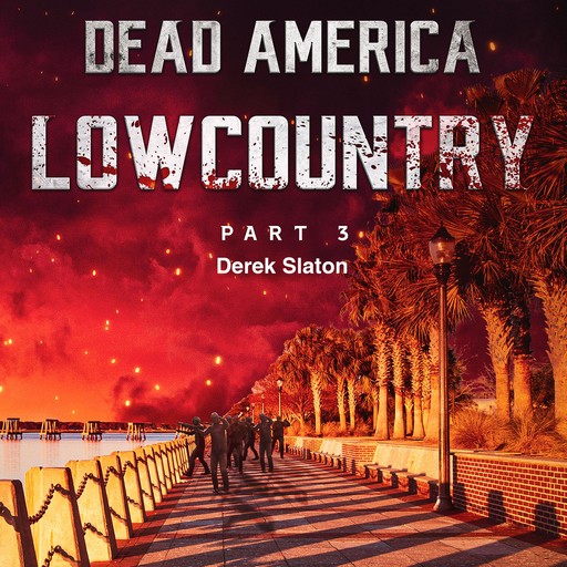 Dead America - Lowcountry Part 3, Derek Slaton