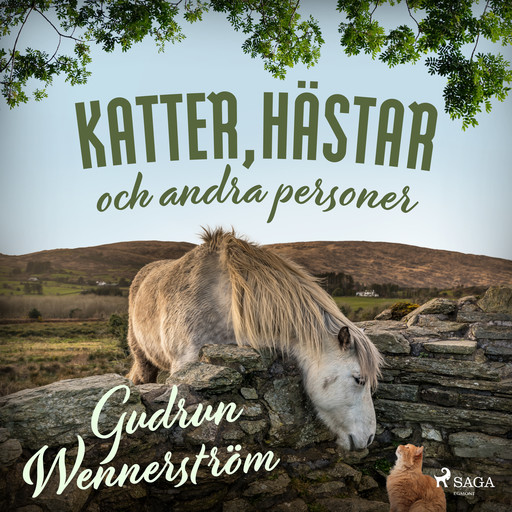 Katter, hästar och andra personer, Gudrun Wennerström