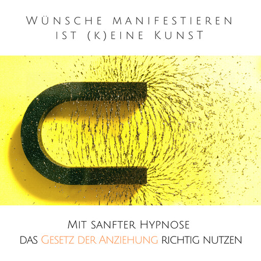 Wünsche manifestieren ist (k)eine Kunst - Das Gesetz der Resonanz entfesseln, Patrick Lynen
