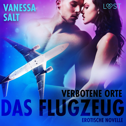 Verbotene Orte: Das Flugzeug - Erotische Novelle, Vanessa Salt