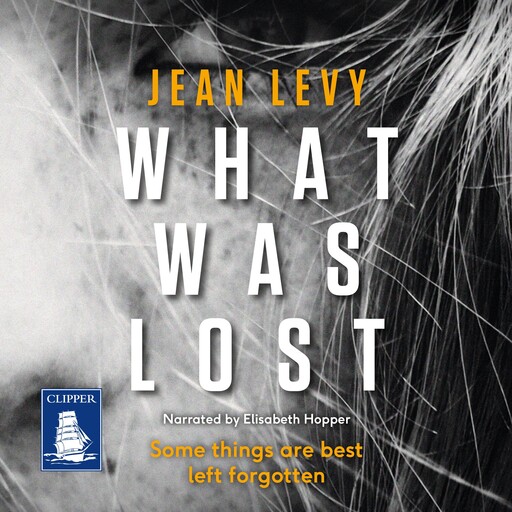 What Was Lost, Jean Levy
