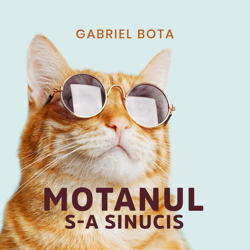 Motanul s-a sinucis, Gabriel Bota