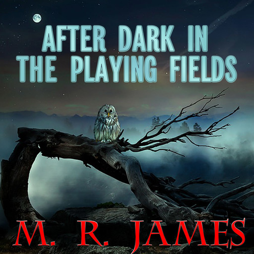 After Dark in the Playing Fields, M.R.James