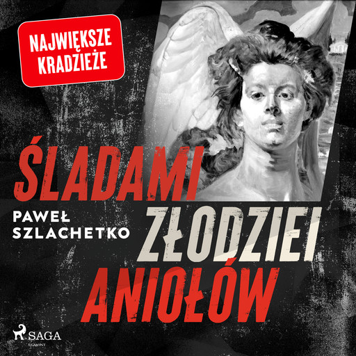 Śladami złodziei aniołów, Paweł Szlachetko