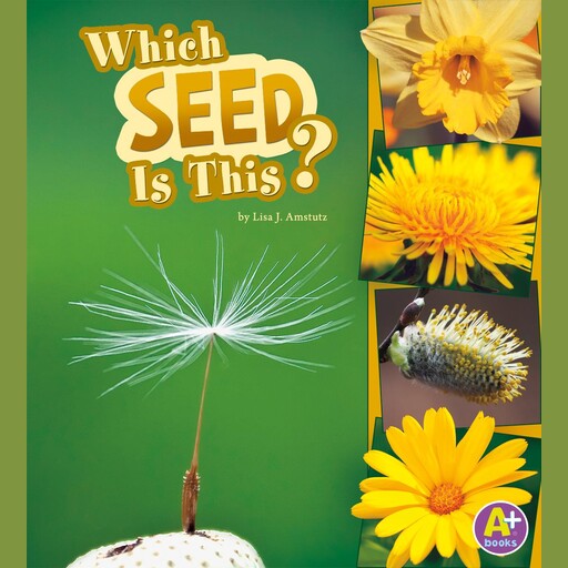 Which Seed Is This?, Lisa Amstutz