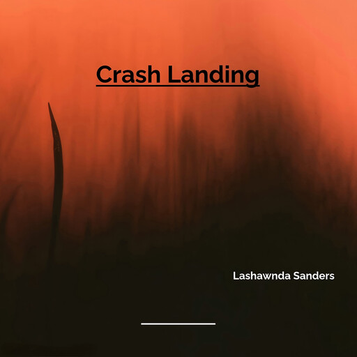 Crash Landing, Lashawnda Sanders
