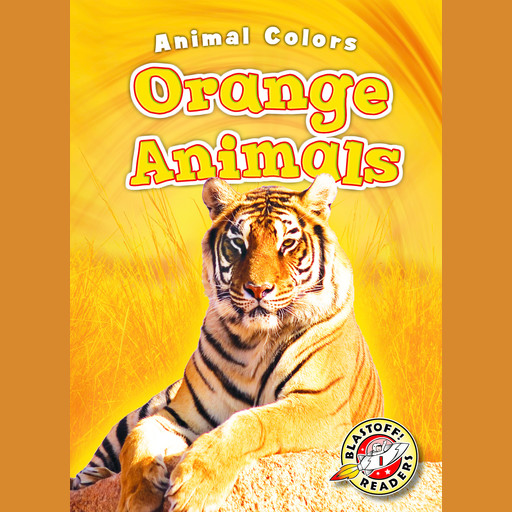 Orange Animals, Christina Leaf