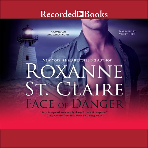Face of Danger, Roxanne St.Claire