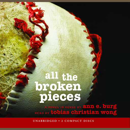 All the Broken Pieces, Ann E. Burg
