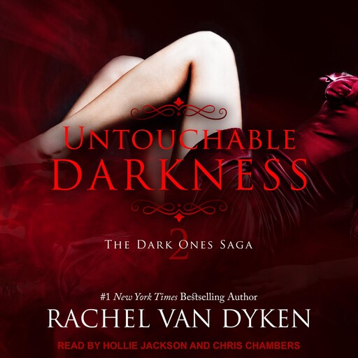 Untouchable Darkness, Rachel van Dyken