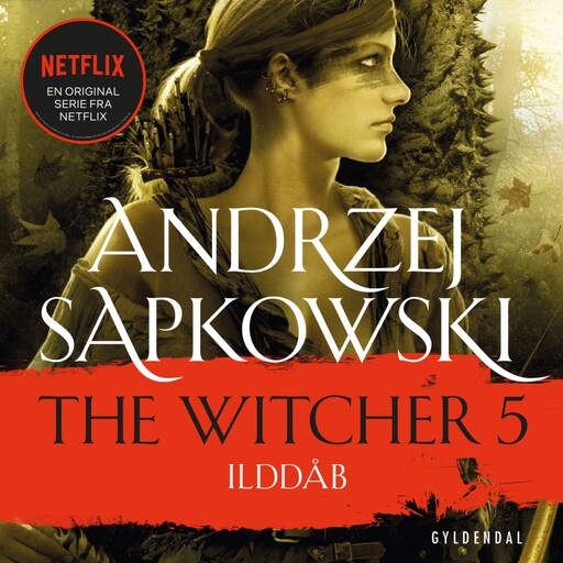 THE WITCHER 5, Andrzej Sapkowski